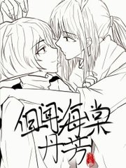 大菠萝福建导航